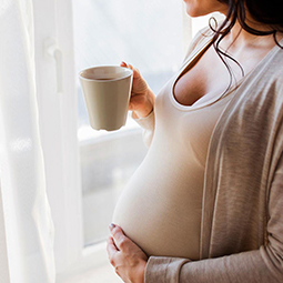 Можно ли пить чай при беременности и какой именно?