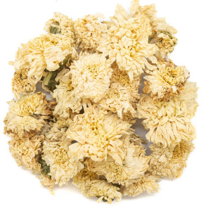 Цветы Хризантемы