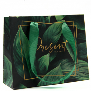 Пакет ламинированный горизонтальный Present for you 15*12*5,5